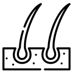 Výsledky rastu brady 2